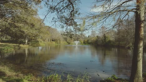 An-aerial-drone-view-through-trees-and-over-Potter-Pond-on-the-University-of-Clear-Lake-in-Clear-Lake,-Houston,-Texas