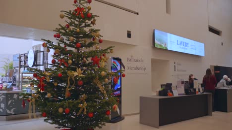 Cinematic-shot-of-a-beautiful-Christmas-tree-decorated-inside-National-gallery-of-Ireland-with-some-visitors-in-Dublin,-Ireland