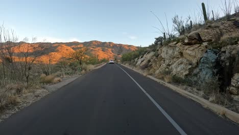 Point-of-view-while-driving-above-a-riparian-zone-in-the-Saguaro-National-Park-in-Sonoran-Desert-at-sunset