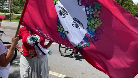 Residentes-De-Brasilia-En-El-Parque-Mientras-Los-Partidarios-Del-Presidente-Lula-Muestran-Lealtad