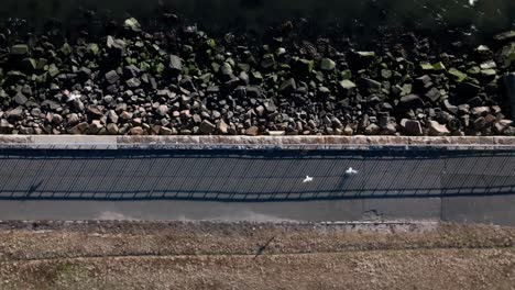 An-aerial-view-of-an-empty-park-by-Gravesend-Bay-at-low-tide-in-Brooklyn,-NY-on-a-sunny-day