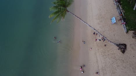 Los-Niños-Juegan-Con-Un-Columpio-De-Cuerda-De-Palmera-En-La-Playa-De-Port-Barton,-Aéreo