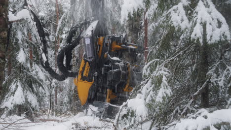 La-Máquina-Robótica-Treehugger-Corta-árboles-Y-Los-Despoja-De-Ramas