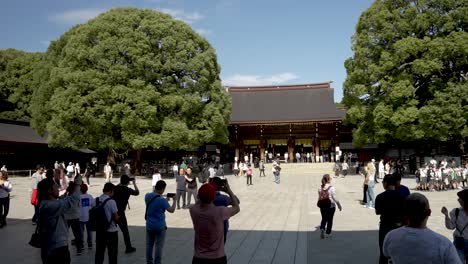 Turistas-Tomando-Fotos-En-El-Patio-Principal-Del-Santuario-Meji-Con-Gehaiden-Al-Fondo,-Flanqueado-Por-Dos-Grandes-árboles-De-Alcanfor-En-Un-Día-Soleado