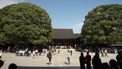 Turistas-Y-Grupos-Turísticos-En-El-Patio-Principal-Del-Santuario-Meji-Con-Gehaiden-Al-Fondo,-Flanqueado-Por-Dos-Grandes-árboles-De-Alcanfor-En-Un-Día-Soleado