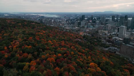 Orbitaldrohnenaufnahme-Zeigt-Die-Stadt-Montreal-Und-Den-Parc-Mont-Royal-Während-Der-Herbstsaison-Mit-Dem-Olympiastadion-Und-Der-Stadt-Im-Hintergrund-Und-Bunten-Bäumen-Im-Vordergrund