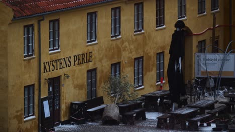 A-tree-fell-at-the-entrance-of-the-bar-due-to-the-strong-wind,-and-the-outdoor-umbrella-is-peeling-off-in-Denmark