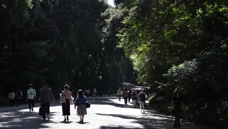 Menschen-Sahen,-Wie-Sie-Am-Meji-Schrein-Den-Idyllischen-Waldweg-Entlang-Gingen