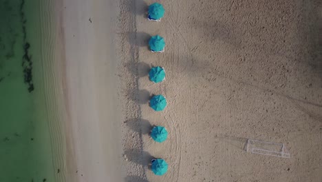 Bird's-eye-view-of-beach-umbrellas