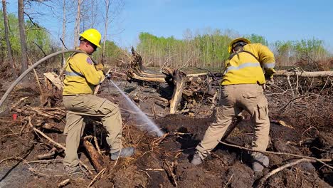 Bomberos-Forestales-Rociando-Agua-Sobre-Raíces-De-árboles-En-Llamas