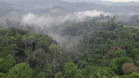 A-dynamic-drone-shot-of-the-amazon-rainforest