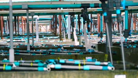 Telephoto-view-over-cement-abalone-tanks-with-PVC-baskets-on-aquafarm