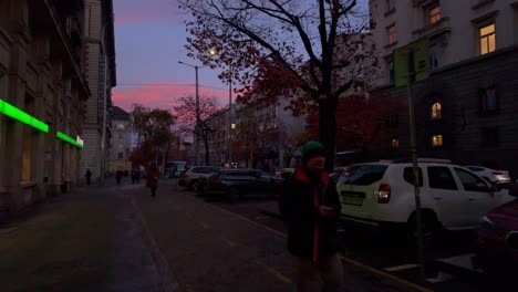 Hyperlapse-of-a-walk-across-Dondukov-Blvd