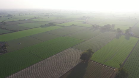 Luftdrohnenansicht-Weitwinkel-Gesehen,-Wo-In-Der-Ferne-Große-Felder-Sichtbar-Sind