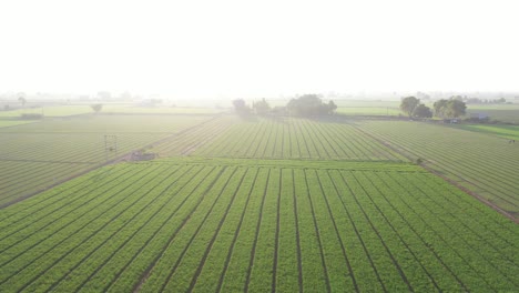 Vista-Aérea-Del-Dron,-La-Cámara-Del-Dron-Muestra-Un-Pozo-Y-Muchos-Arbustos-En-El-Campo