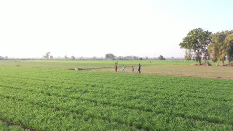 Vista-Aérea-De-Drones-Niños-Jugando-Y-Caminando-En-El-Campo