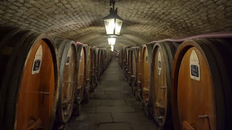 Cave-Historique-des-Hospices-de-Strasbourg-Cellar