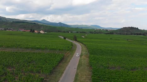 Toma-Aérea-De-Seguimiento-De-Un-Automóvil-Pequeño-Que-Serpentea-Entre-Viñedos-Franceses.