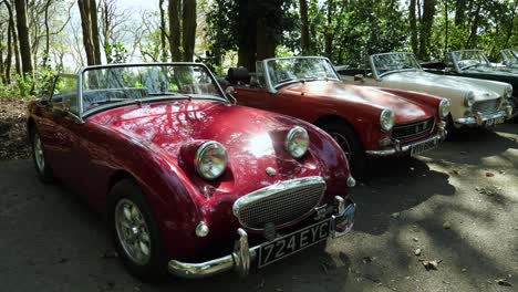 Oldtimer,-Treffen-Des-Austin-Haeley-Club-North-Wales-Im-Dorf-Portmeirion