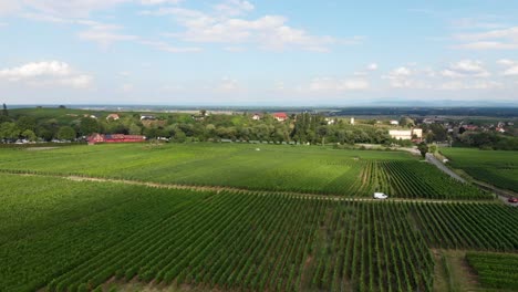 Paisaje-Aéreo-De-Viñedos-Franceses-En-Vins-D&#39;alsace