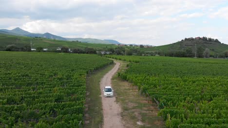 Rückwärtsverfolgung-Eines-Autos,-Das-Den-Staubigen-Weinberg-In-Vins-D&#39;Alsace-Hinunterfährt