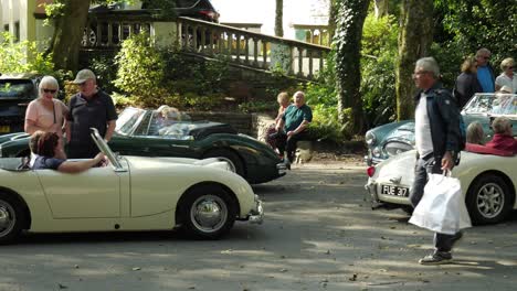 Classic-Car,-Austin-Haeley-Club-North-Wales-Meeting-In-Portmeirion-Village