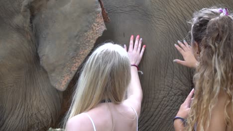 Cierre-En-Cámara-Lenta-De-Turistas-Femeninas-Tocando-Piel-De-Elefante-En-Un-Recorrido-Por-El-Zoológico-En-El-Campo-De-Tailandia