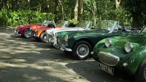 Classic-Car,-Austin-Haeley-Club-North-Wales-Meeting-In-Portmeirion-Village