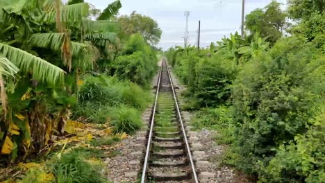 Un-Viaje-En-Tren-Desde-Bangkok-Al-Mercado-Ferroviario-De-Mae-Klong