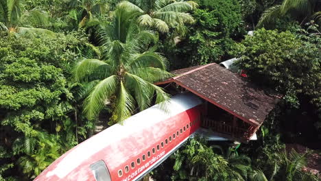 Avión-Boing-En-La-Selva-De-Costa-Rica.