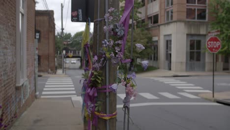 Centro-Comercial-Del-Centro-De-Charlottesville:-Lugar-Del-Ataque-Automovilístico-De-Charlottesville-Durante-La-Manifestación-Unite-The-Right-De-2017