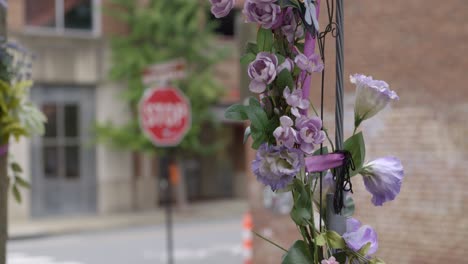 Charlottesville-Downtown-Mall-–-Site-of-the-Charlottesville-car-attack-during-the-2017-Unite-the-Right-Rally