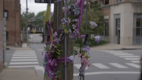 Charlottesville-Downtown-Mall-–-Site-of-the-Charlottesville-car-attack-during-the-2017-Unite-the-Right-Rally