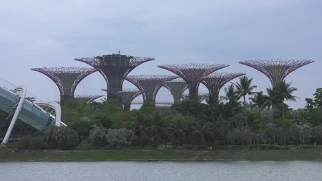 Supertree-Grove-En-Los-Jardines-Junto-A-La-Bahía,-Vista-Desde-El-Otro-Lado-Del-Puerto-Deportivo.