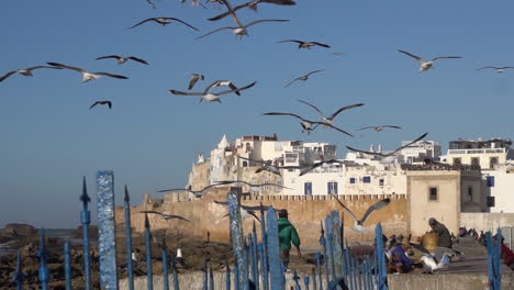 Essaouira,-Marokko