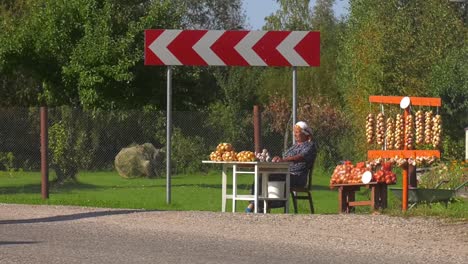 Ältere-Frauen-Verkaufen-Selbst-Angebaute-Zwiebeln-Am-Straßenrand-Neben-Dem-Verkehrsschild-Mit-Dem-Roten-Weißen-Pfeil