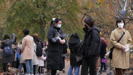 Eine-Taube-Landete-Auf-Einem-Asiatischen-Mädchen-Und-Sie-Bekam-Angst