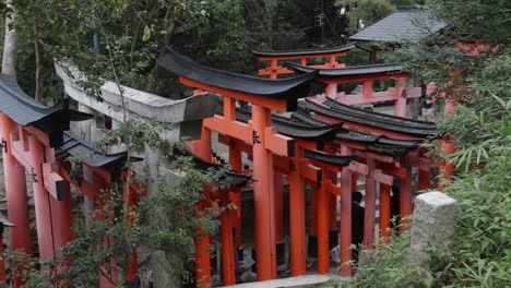 Tourists-walking-throught-the-shinto-shrines-in-Kyoto