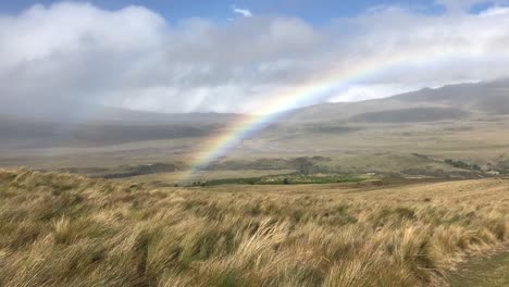 Eine-Gruppe-Von-Wanderern-Geht-Unter-Einem-Regenbogenbogen-Entlang,-Der-Auf-Einem-Pfad-In-Den-Moorlandschaften-Von-Ecuador-Auftauchte