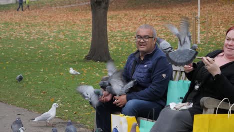 Palomas-Sobre-Personas-Sentadas-En-Un-Banco