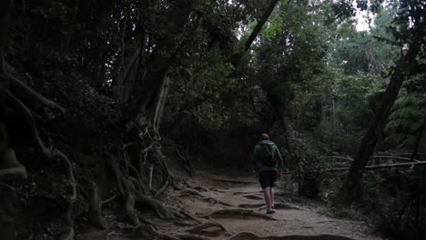 Tourist-walking-in-the-deep-forest-of-Japan-in-Kyoto