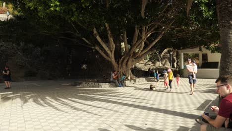 Músico-Callejero-Y-Niños-En-La-Plaza,-Bajo-Un-Gran-árbol-En-Masca.