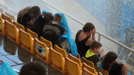 Family-being-splashed-by-killer-whale-in-Loro-Parque