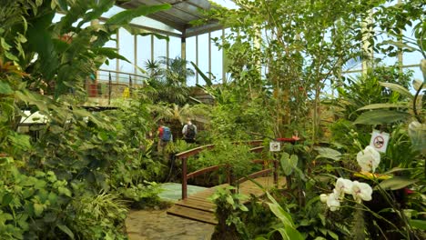 Butterfly-garden-with-glass-roof,-Mariposario-del-Drago,-Tenerife