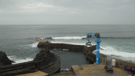 Blue-crane-on-the-coast-of-Punta-del-Hidalgo,-Part-one