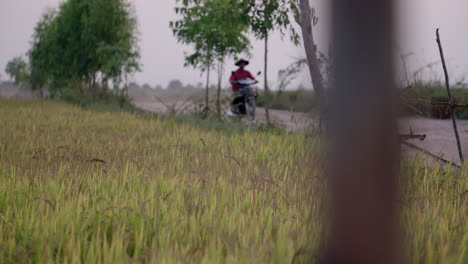 Man-driving-a-motorcycle-on-a-small-Cambodian-country-road