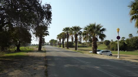 Palmeras-Al-Costado-De-La-Carretera-Meciéndose-Con-El-Viento-Que-Sopla-Con-Un-Cielo-Azul-En-La-Isla-Griega-De-Rodas-Alrededor-De-Octubre