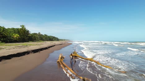 Vuelo-Rápido-Sobre-Una-Playa-Con-árboles-Arrancados-De-Raíz.