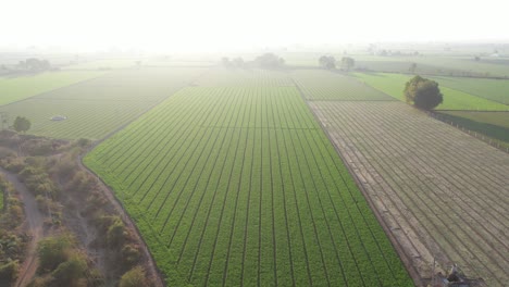 Drohnenkamera-Aus-Der-Luft,-Die-Sich-Nach-Oben-Bewegt,-Wobei-Sonnenstrahlen-Auf-Viele-Felder-In-Der-Umgebung-Fallen