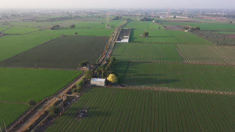 Vista-Aérea-Del-Dron,-La-Cámara-Del-Dron-Avanza-Mostrando-Diferentes-Tipos-De-árboles-Y-Una-Pequeña-Casa